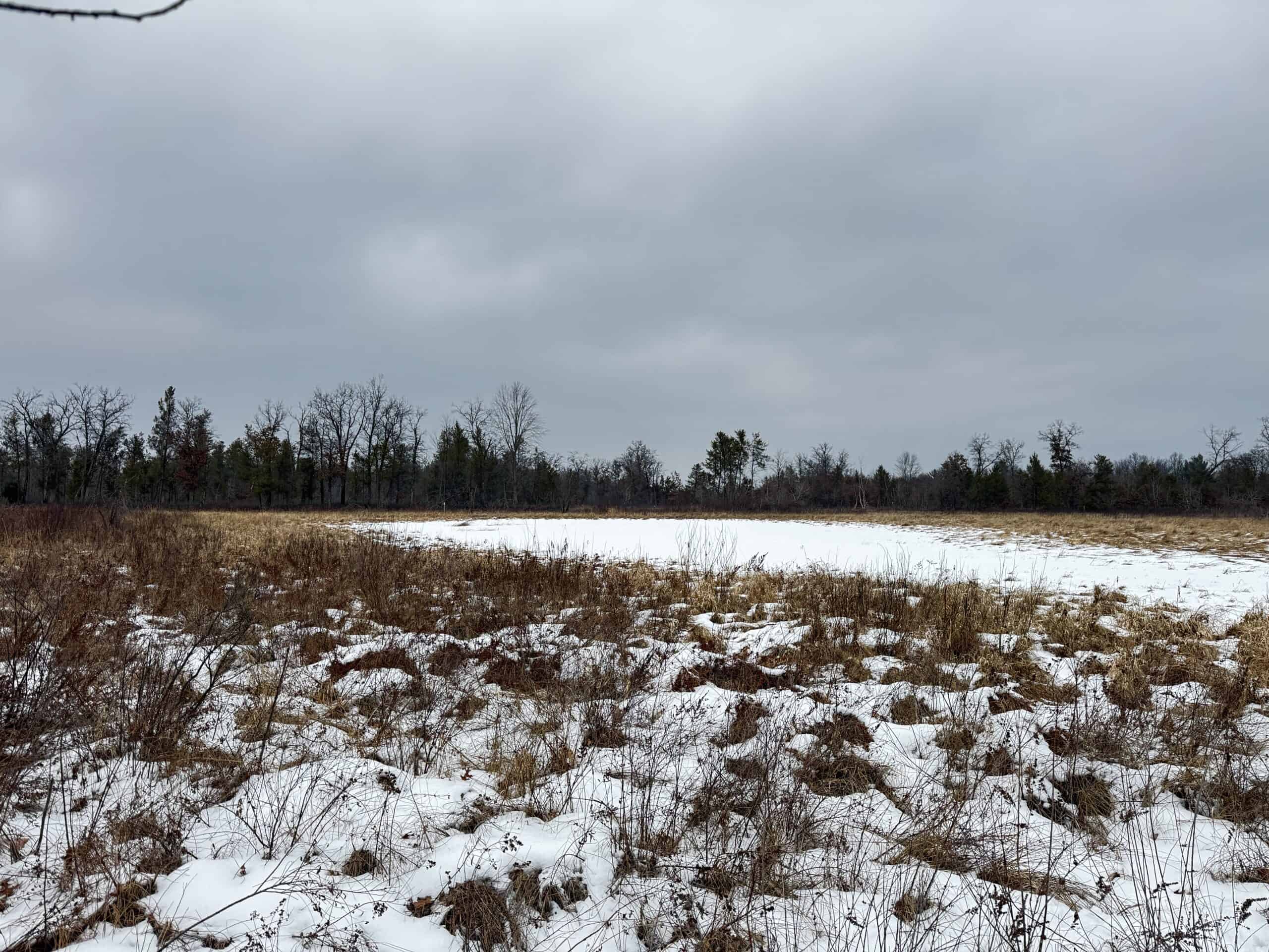 120± acre tract in the Town of Clearfield, Juneau County