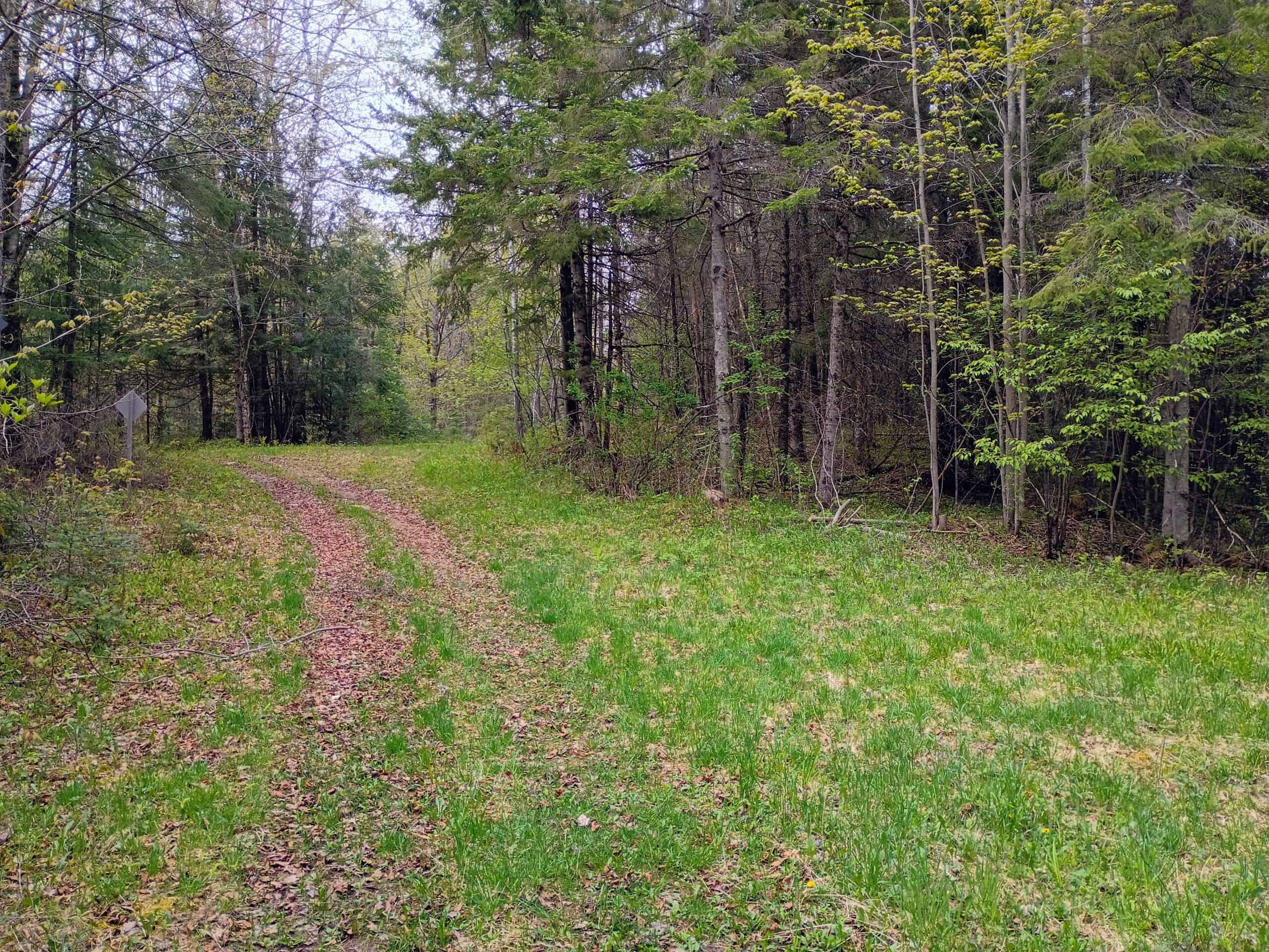 Custom Built Home with 65.8 ± Acres for Sale in Park Falls, WI