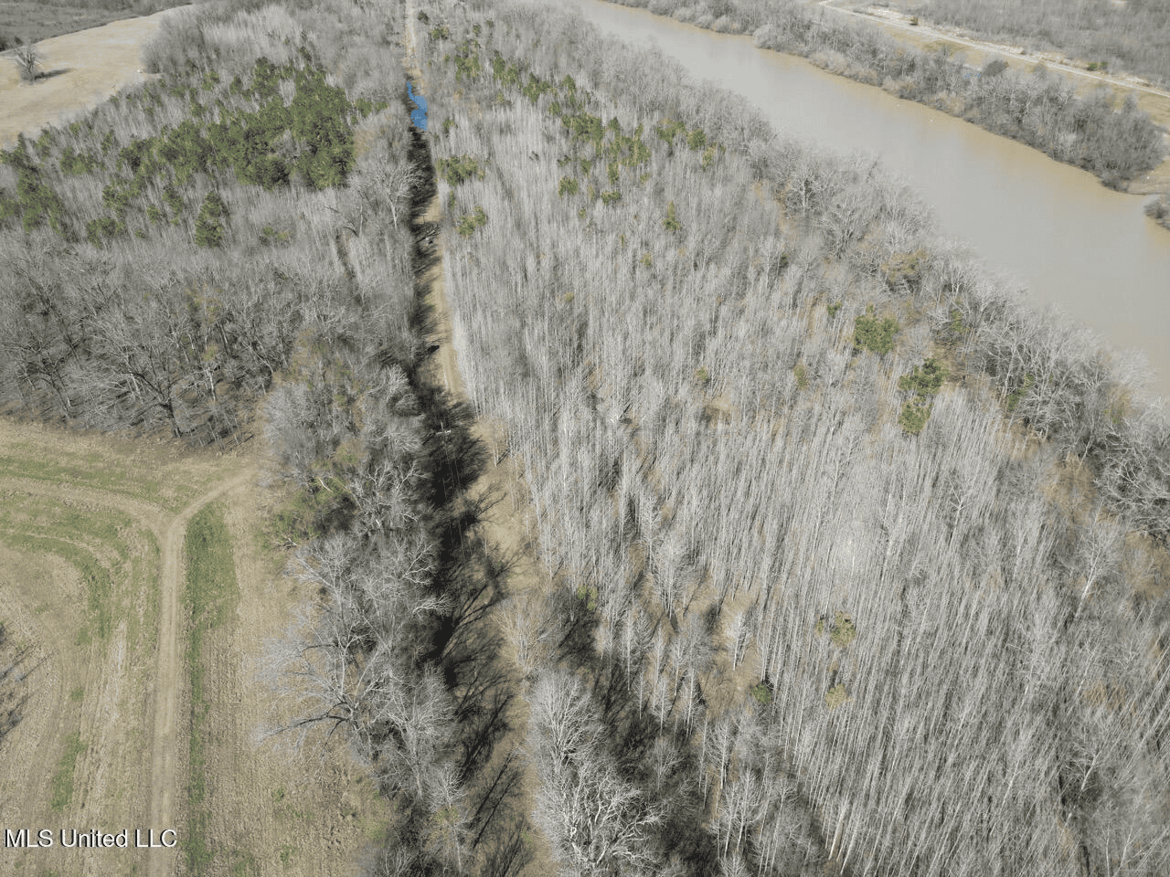 Tensas Riverfront Hunting Land Concordia Parish, LA