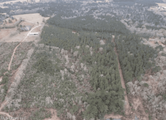 16 Acre Homesite in Magnolia, MS Pike County