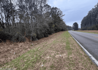 18 Acre Homesite in Magnolia, MS, Pike County