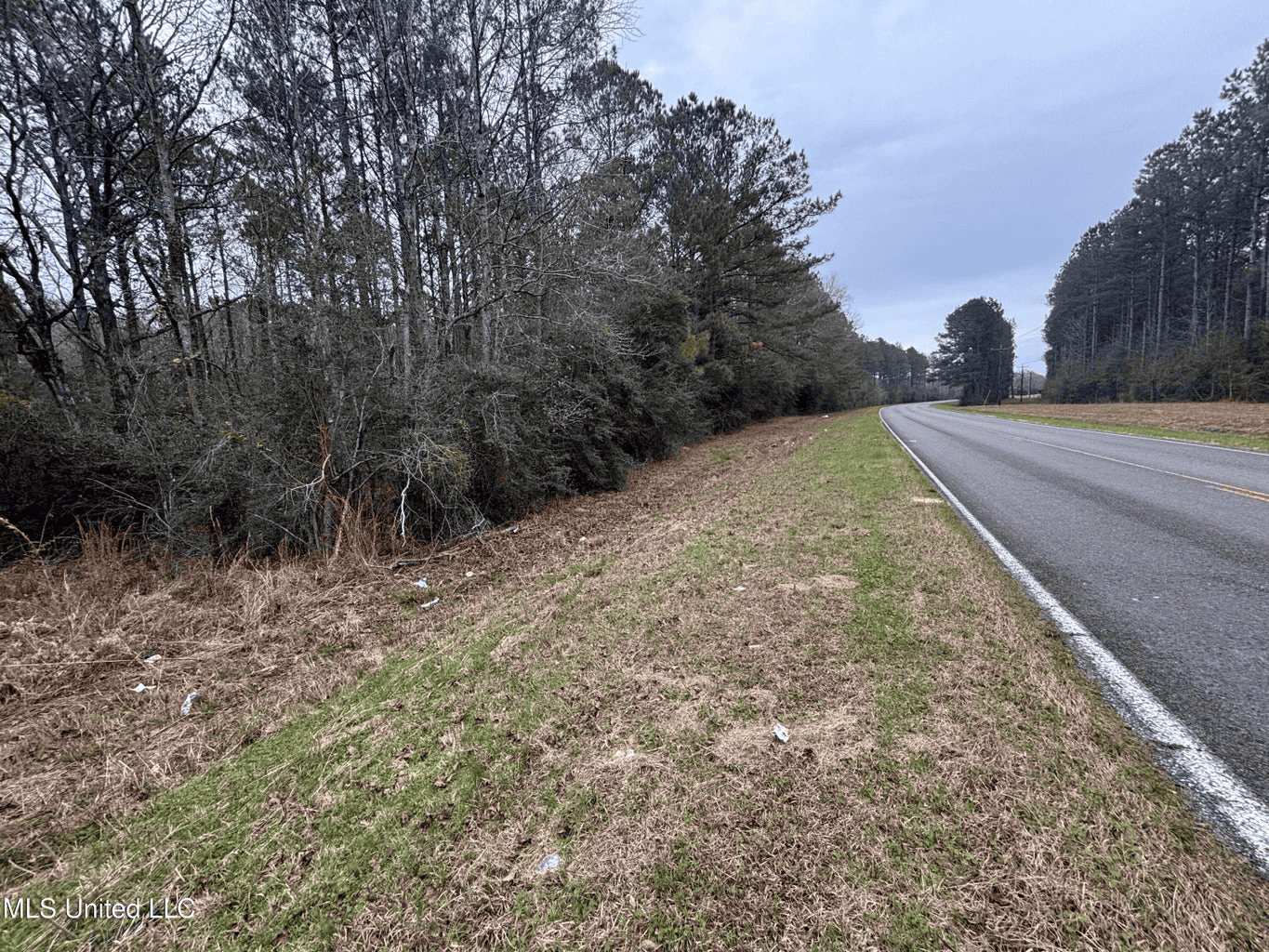 18 Acre Homesite in Magnolia, MS, Pike County