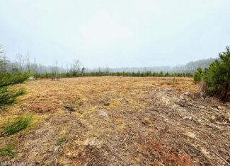 Hunting & Homesite Land Near Tylertown, MS