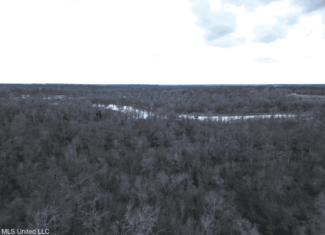 700 Acres in Allen Parish, Louisiana