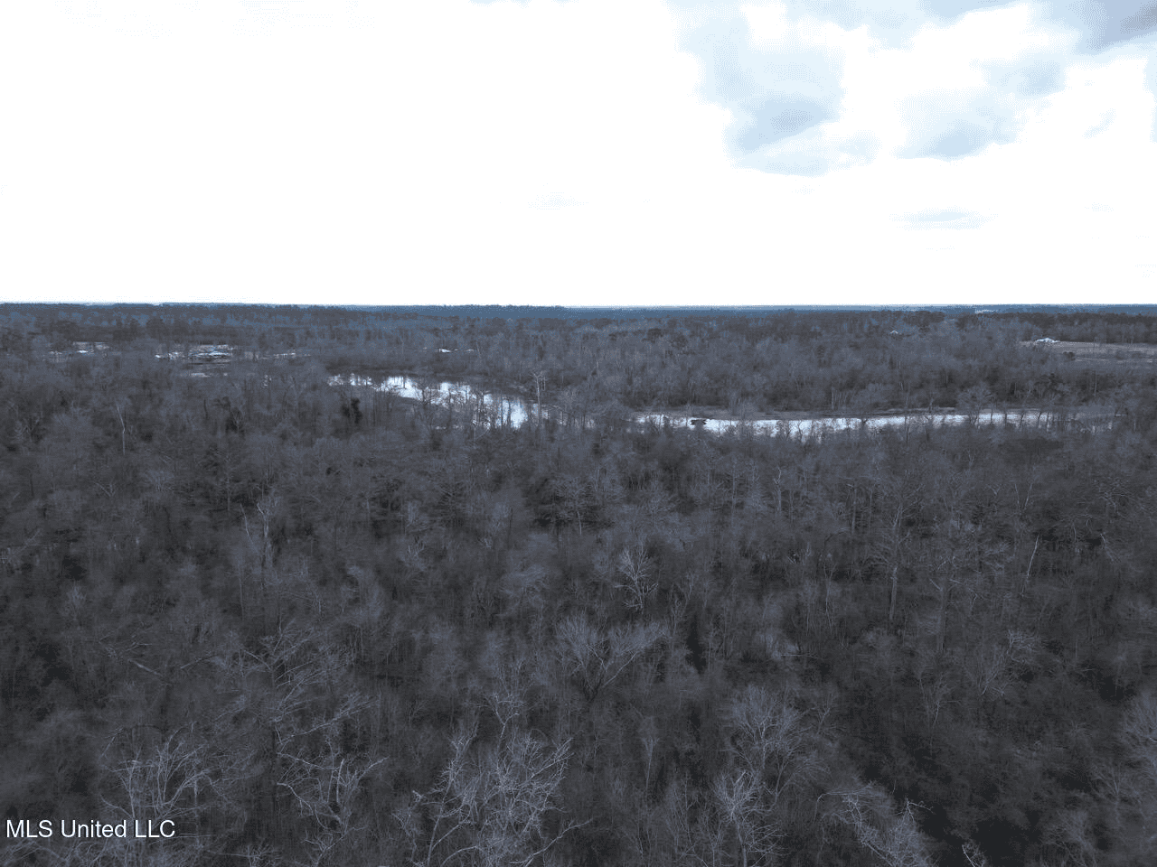 700 Acres in Allen Parish, Louisiana