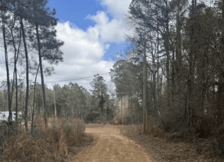 220 Acres South MS Hunting Tract with Camp/Homesite
