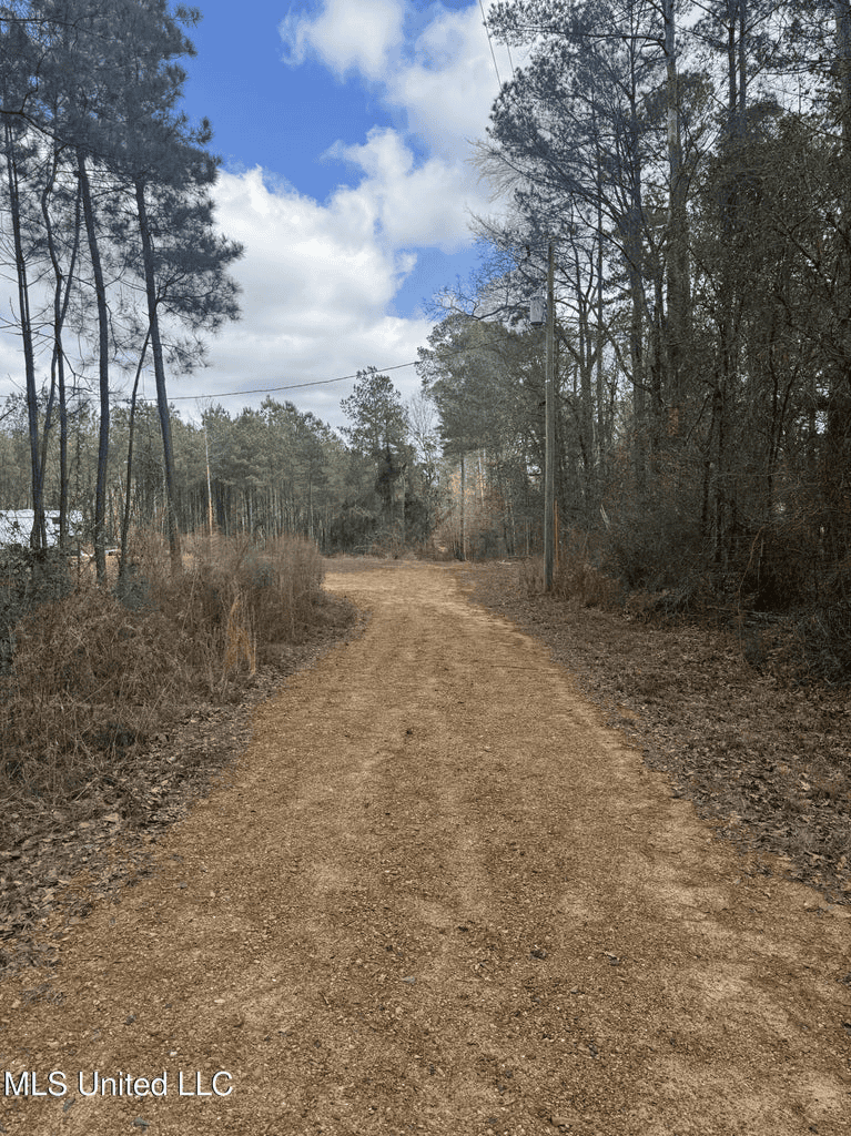 220 Acres South MS Hunting Tract with Camp/Homesite