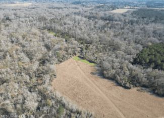 255 Acres East Baton Rouge Parish Near Zachary, LA
