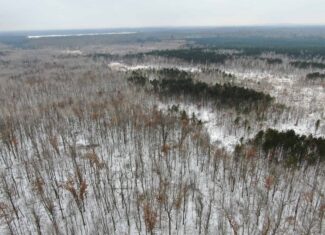81.64± Acre Parcel in the Town of Clearfield, Juneau County