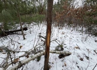 120± Acre Property in the Town of Clearfield, Juneau County