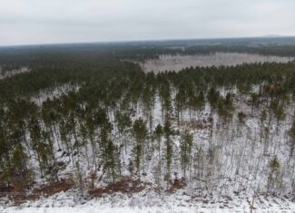 80± acre parcel in the Town of Necedah, Juneau County