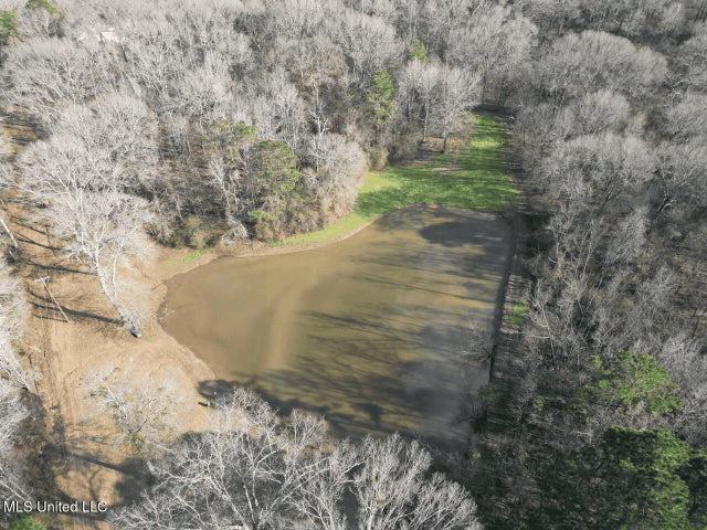 140 Acres with Farmhouse in Lorman, Mississippi