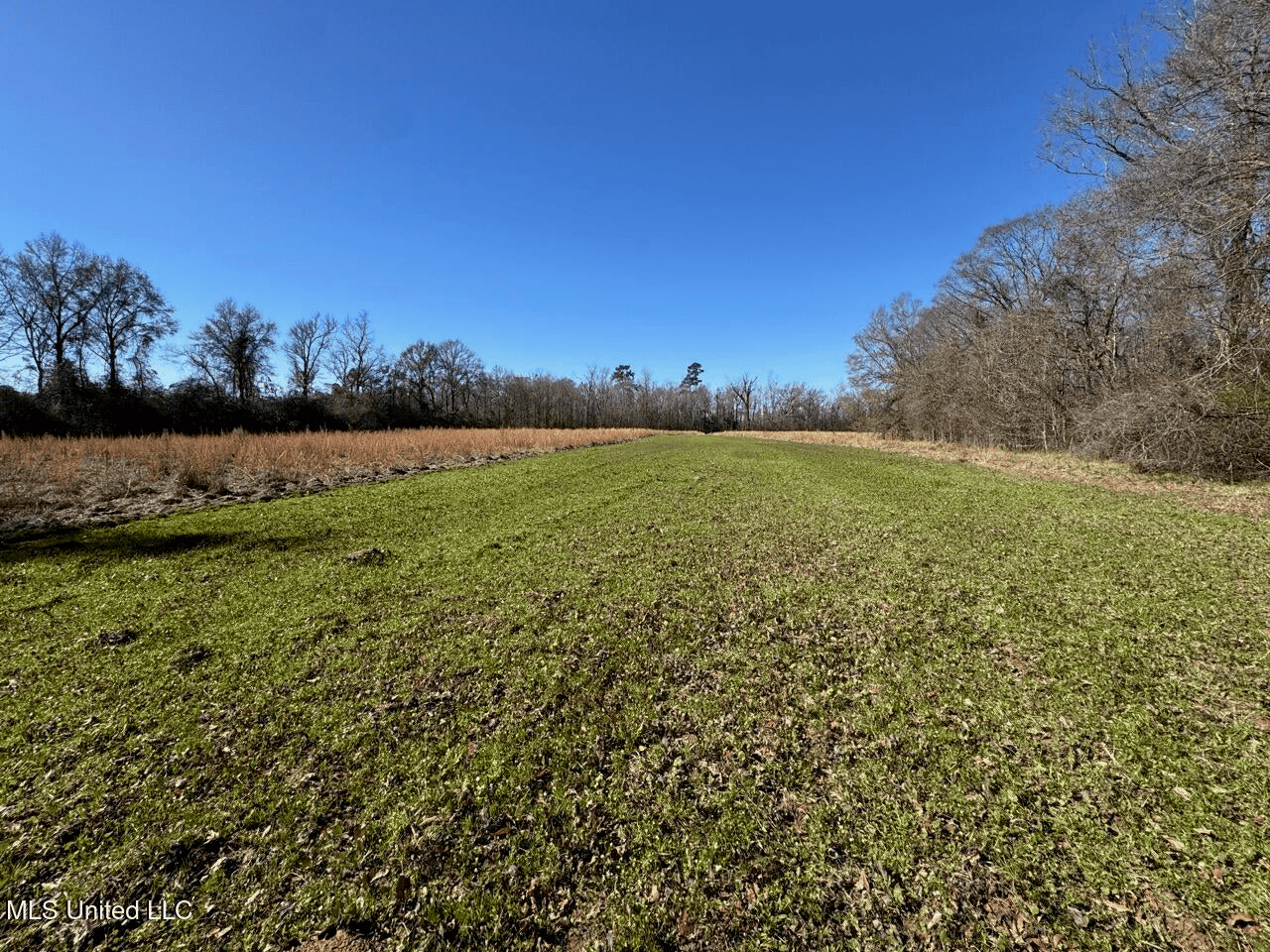 255 Acres East Baton Rouge Parish Near Zachary, LA