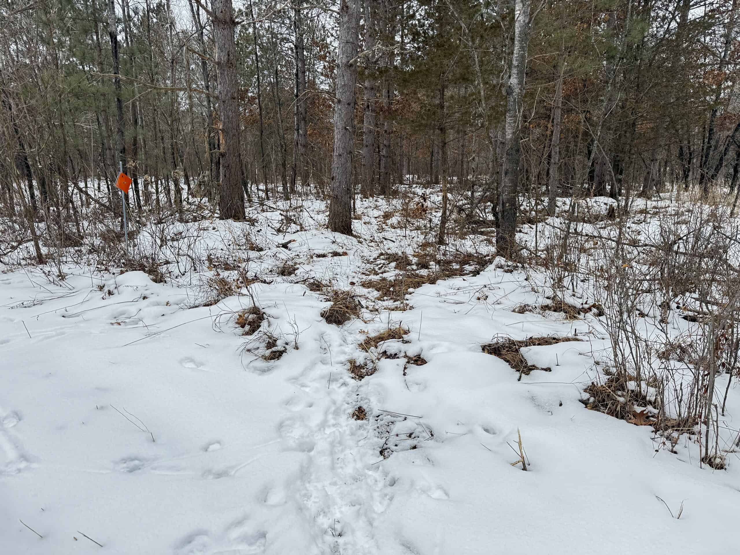 120± acre tract in the Town of Clearfield, Juneau County