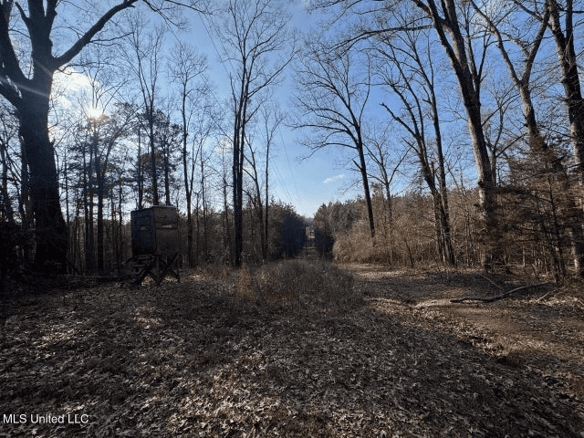 140 Acres with Farmhouse in Lorman, Mississippi