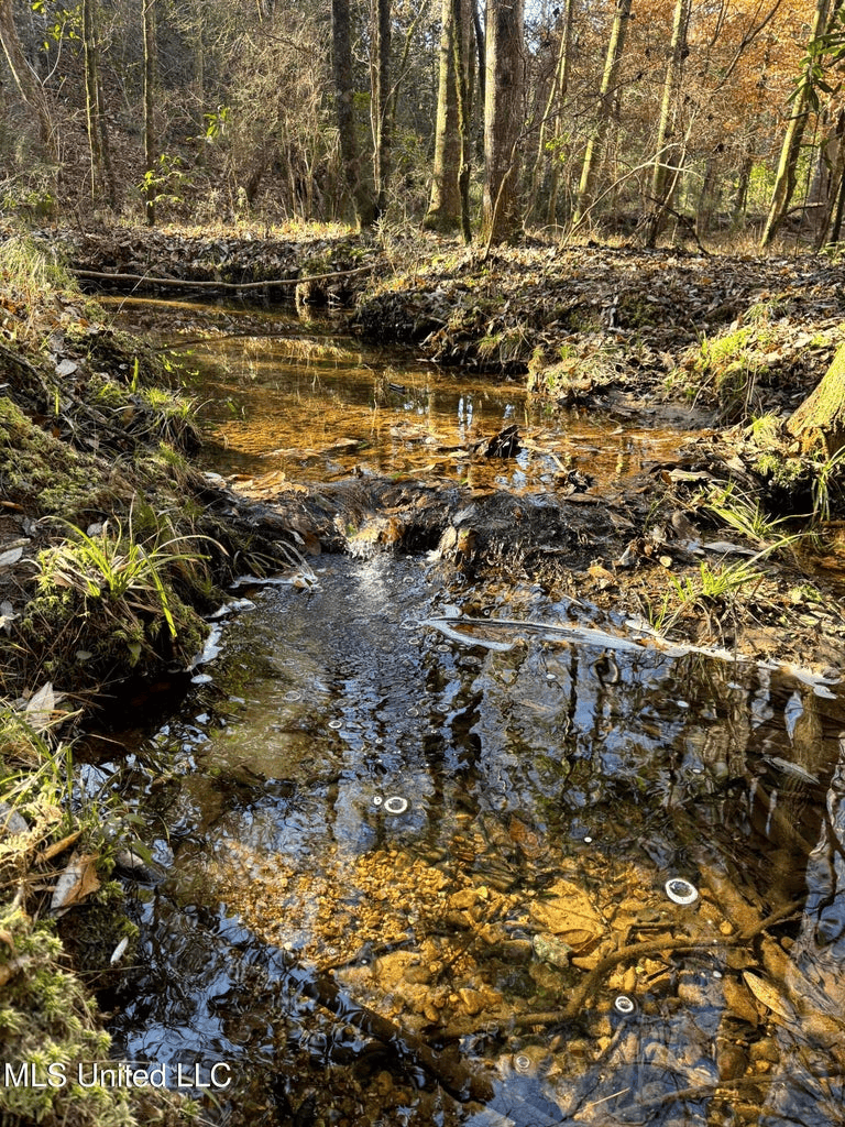 South MS Camp and Land Bordering the National Forest