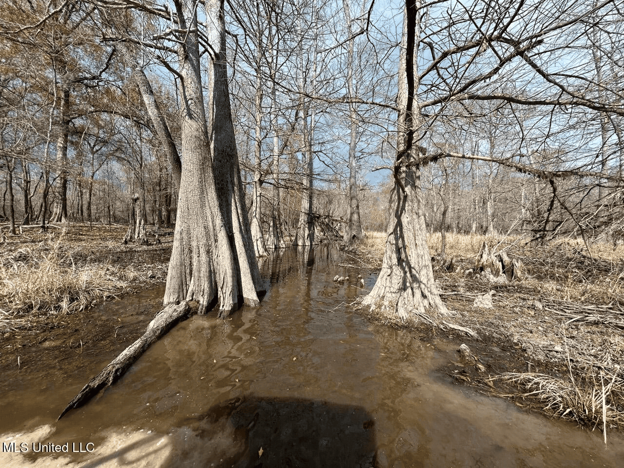 700 Acres in Allen Parish, Louisiana