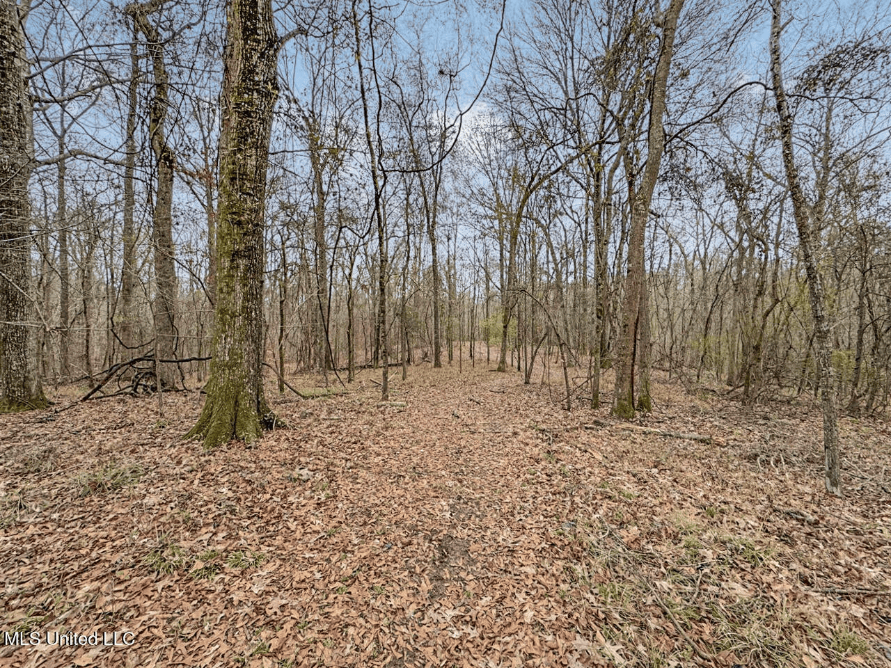 Luxury 5-Bed Home on 22 Acres in Kingston, Natchez, MS