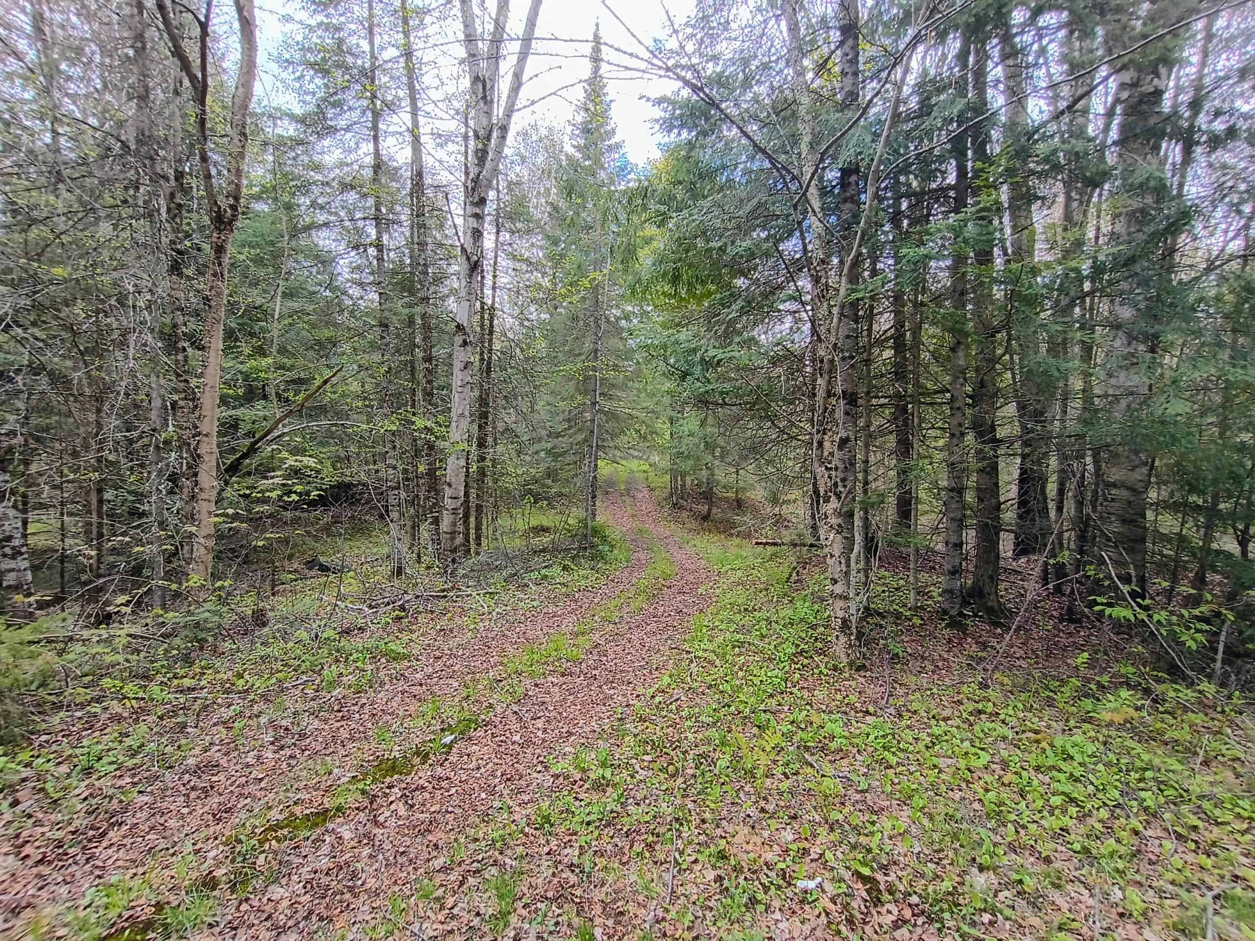 Custom Built Home with 65.8 ± Acres for Sale in Park Falls, WI