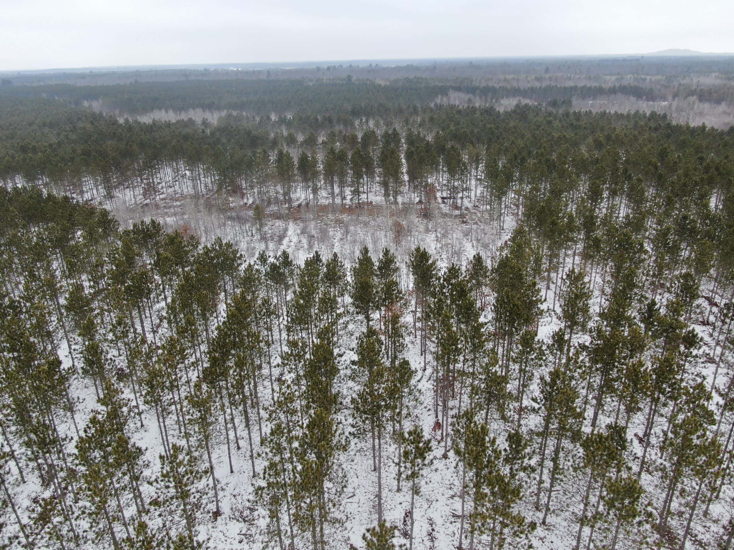80± acre parcel in the Town of Necedah, Juneau County