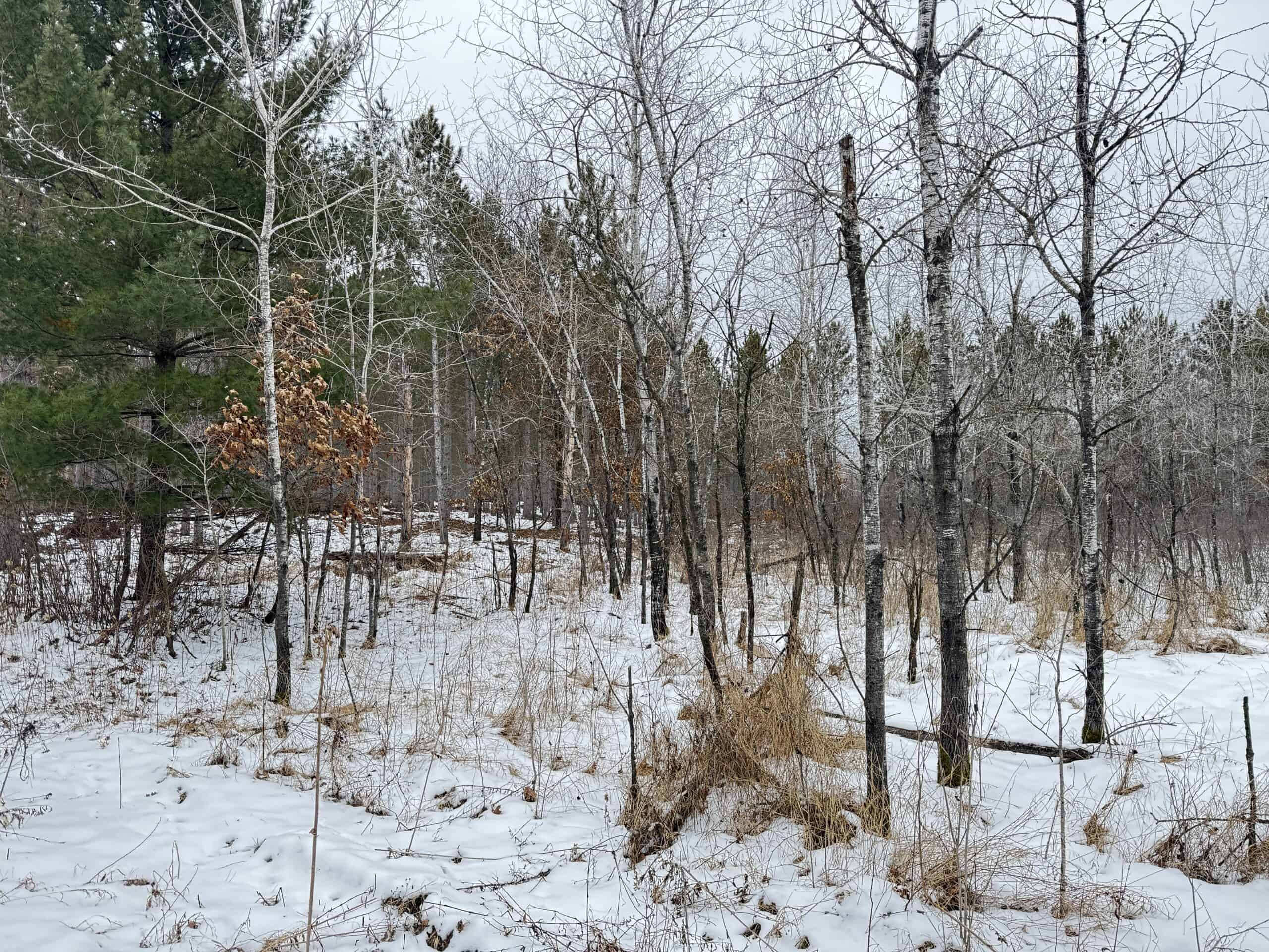 120± acre tract in the Town of Clearfield, Juneau County