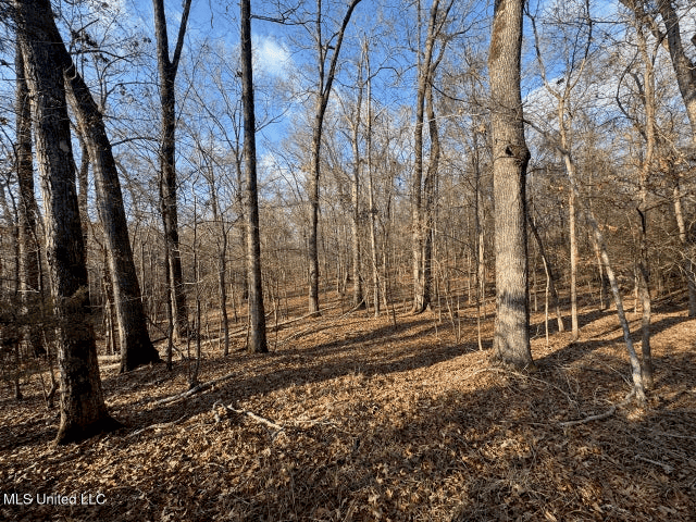 140 Acres with Farmhouse in Lorman, Mississippi