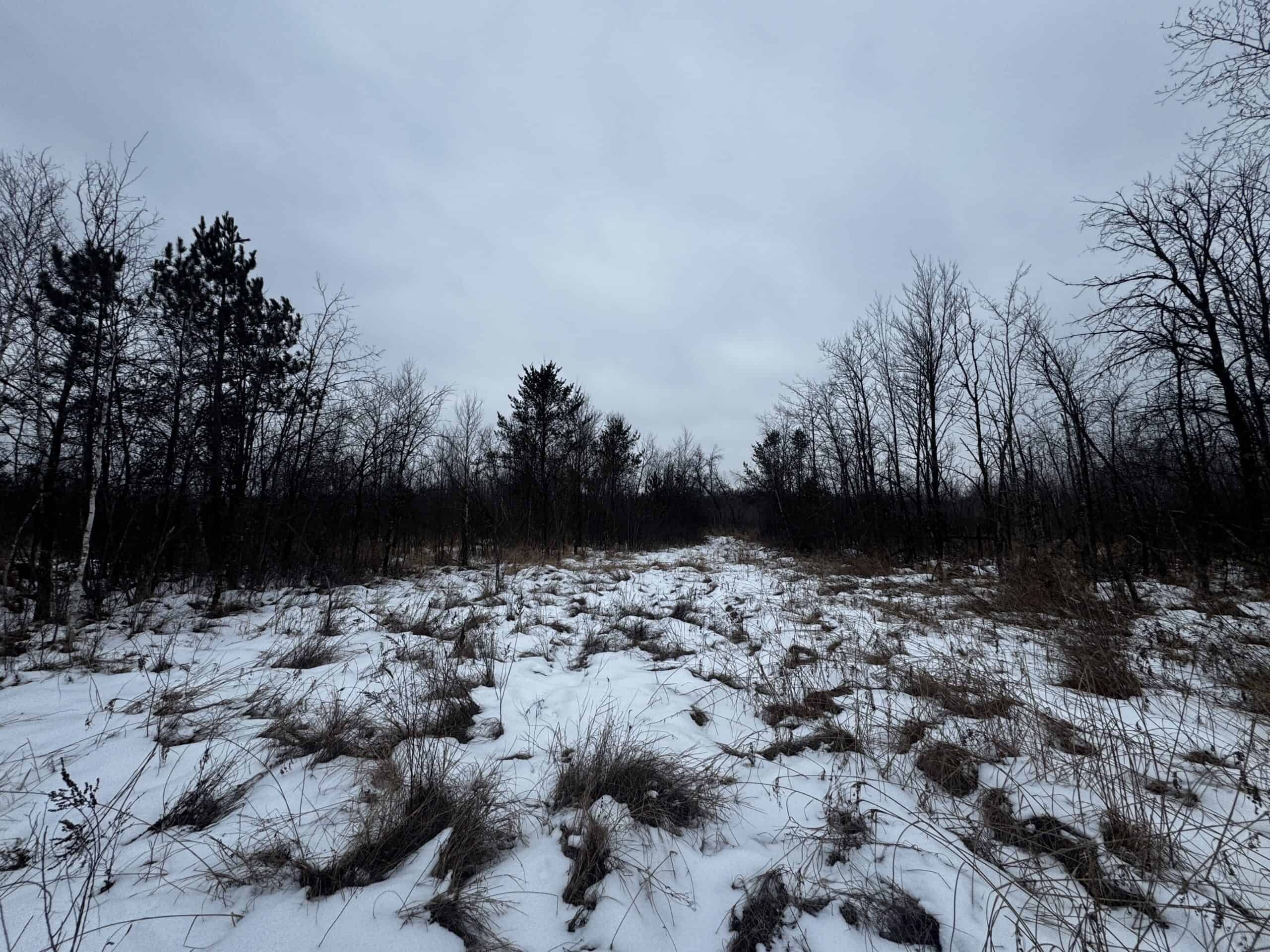 81.64± Acre Parcel in the Town of Clearfield, Juneau County