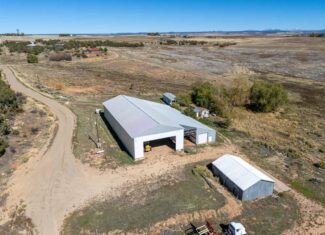 882 Acres Farm near Cortez Colorado For Sale!
