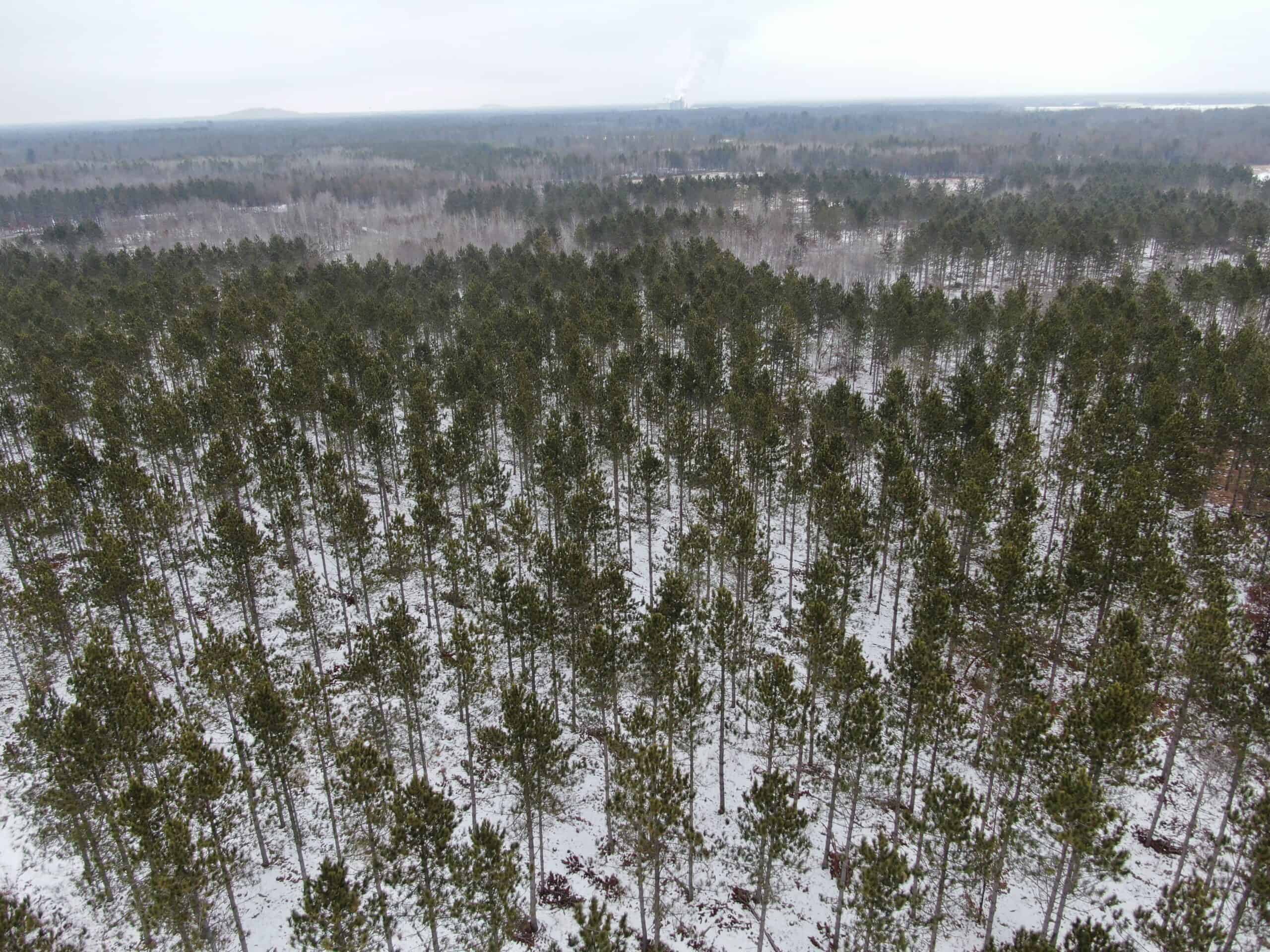 80± acre parcel in the Town of Necedah, Juneau County