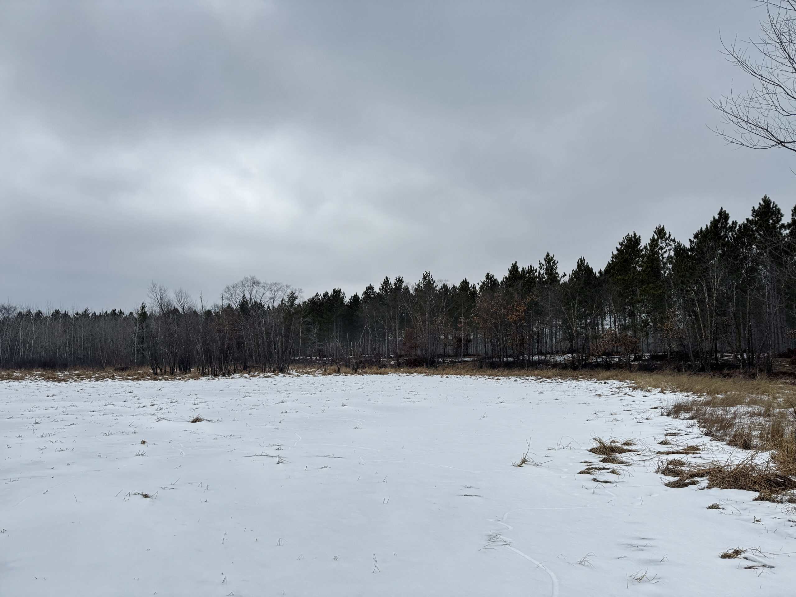 120± acre tract in the Town of Clearfield, Juneau County