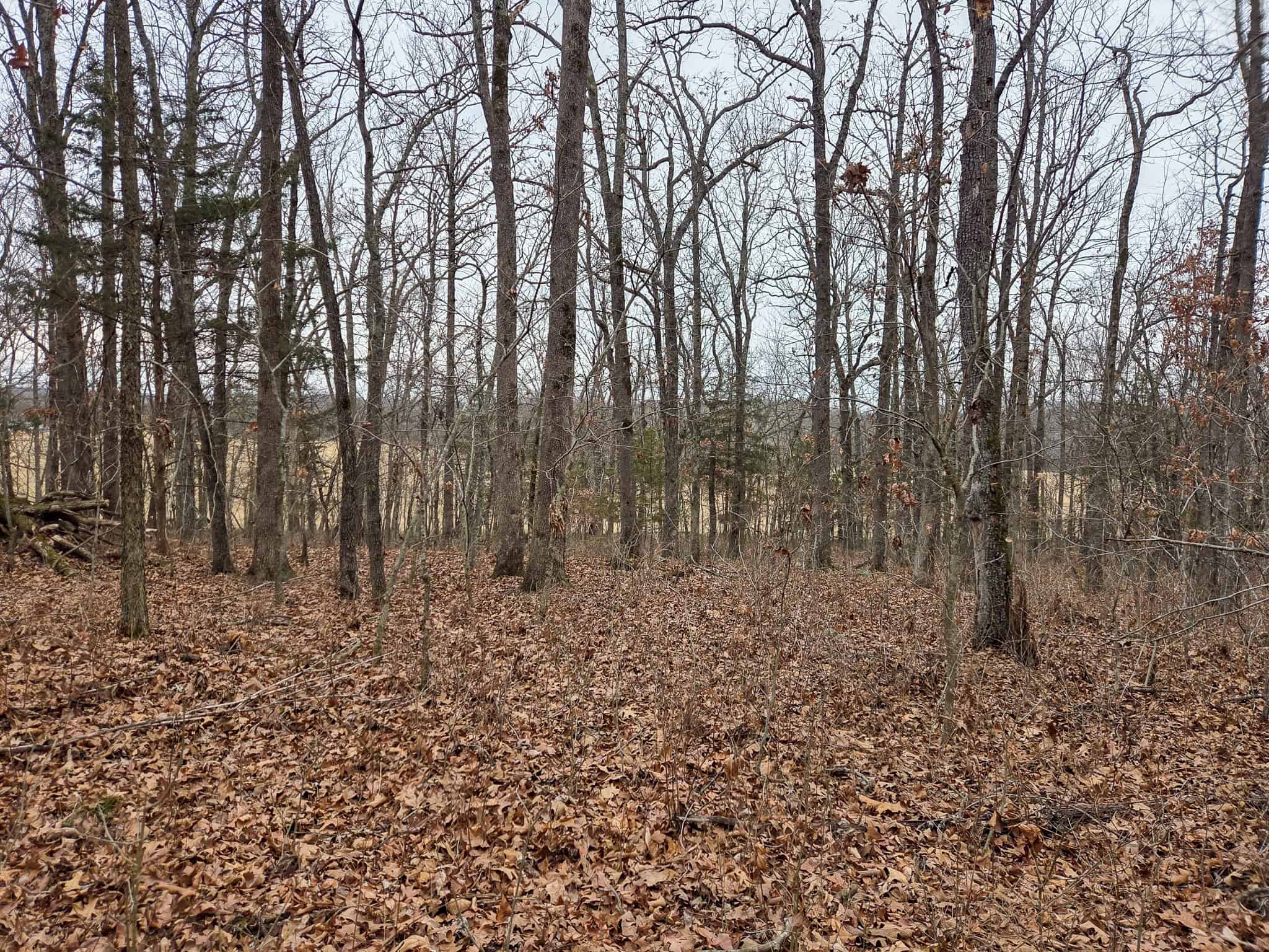 00 N Dade 237 Walnut Grove, MO 65770