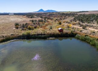 882 Acres Farm near Cortez Colorado For Sale!