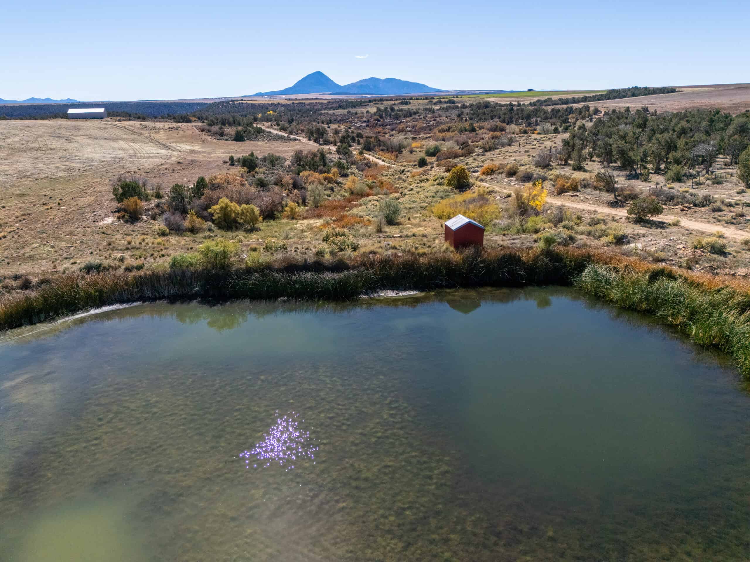 882 Acres Farm near Cortez Colorado For Sale!