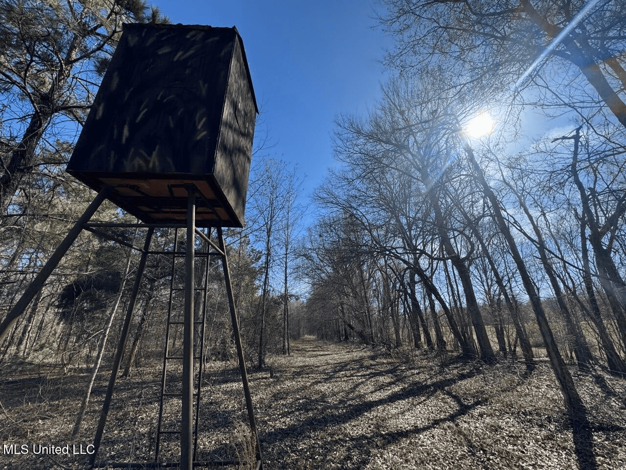 Tensas Riverfront Hunting Land Concordia Parish, LA