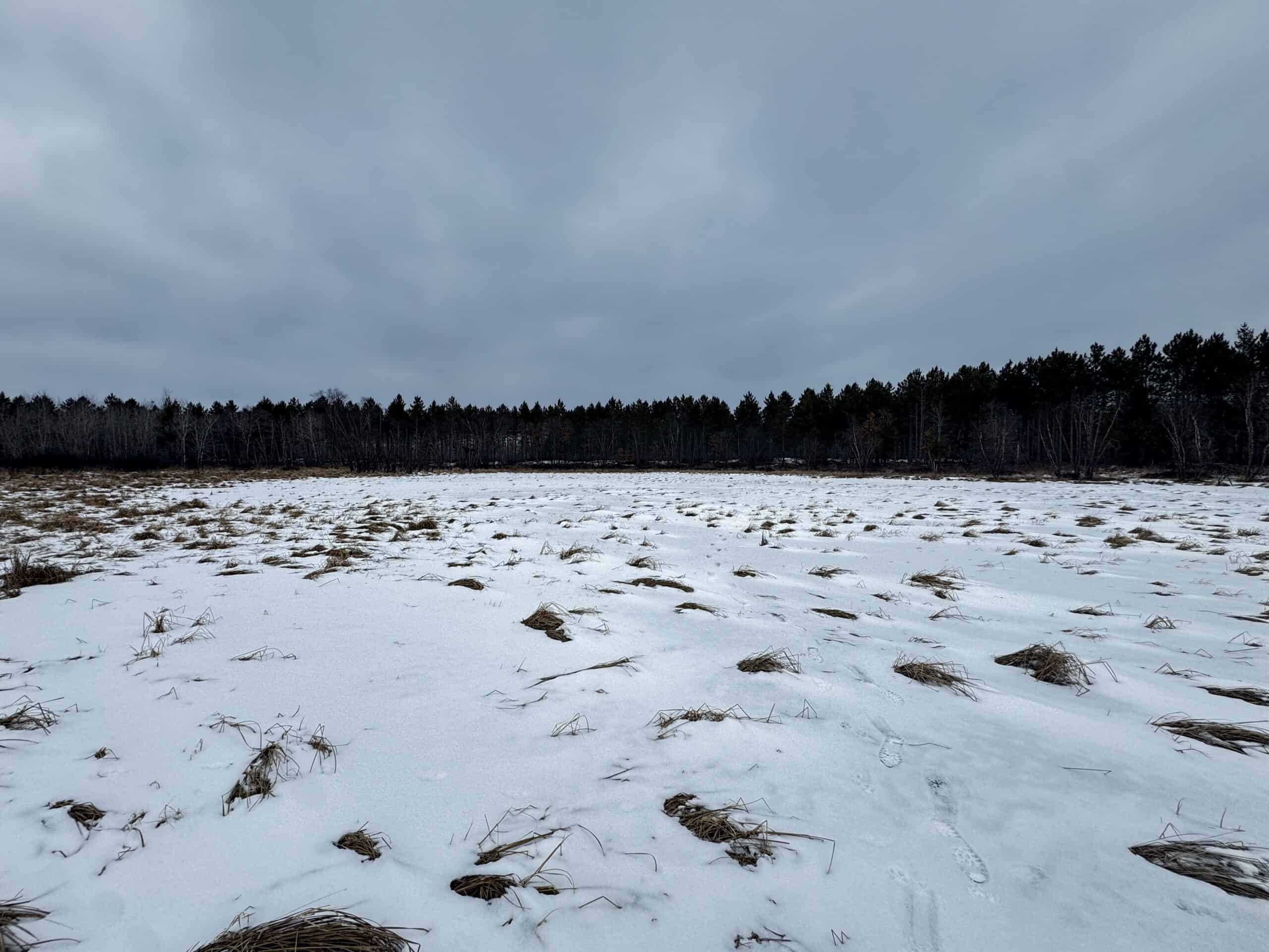 120± acre tract in the Town of Clearfield, Juneau County