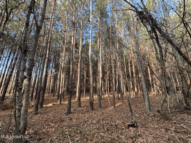 140 Acres with Farmhouse in Lorman, Mississippi