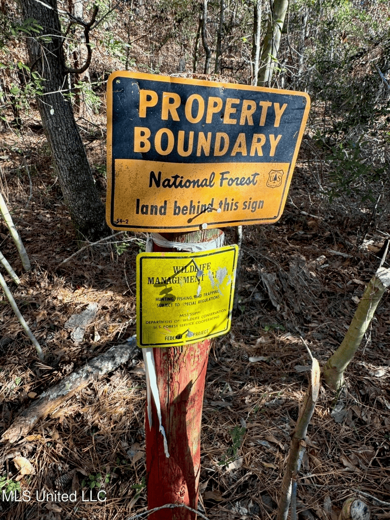South MS Camp and Land Bordering the National Forest