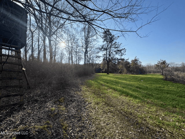 140 Acres with Farmhouse in Lorman, Mississippi