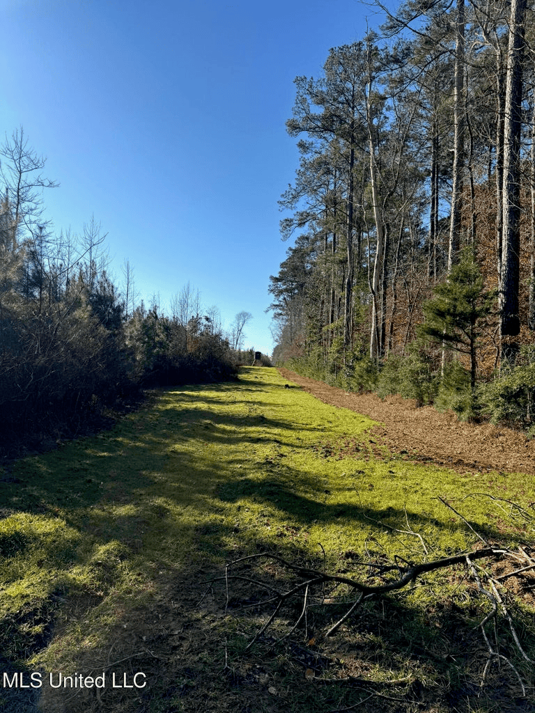 South MS Camp and Land Bordering the National Forest