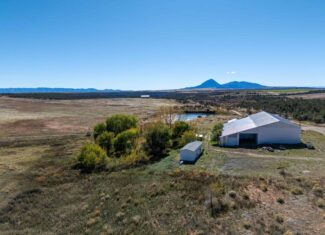 882 Acres Farm near Cortez Colorado For Sale!