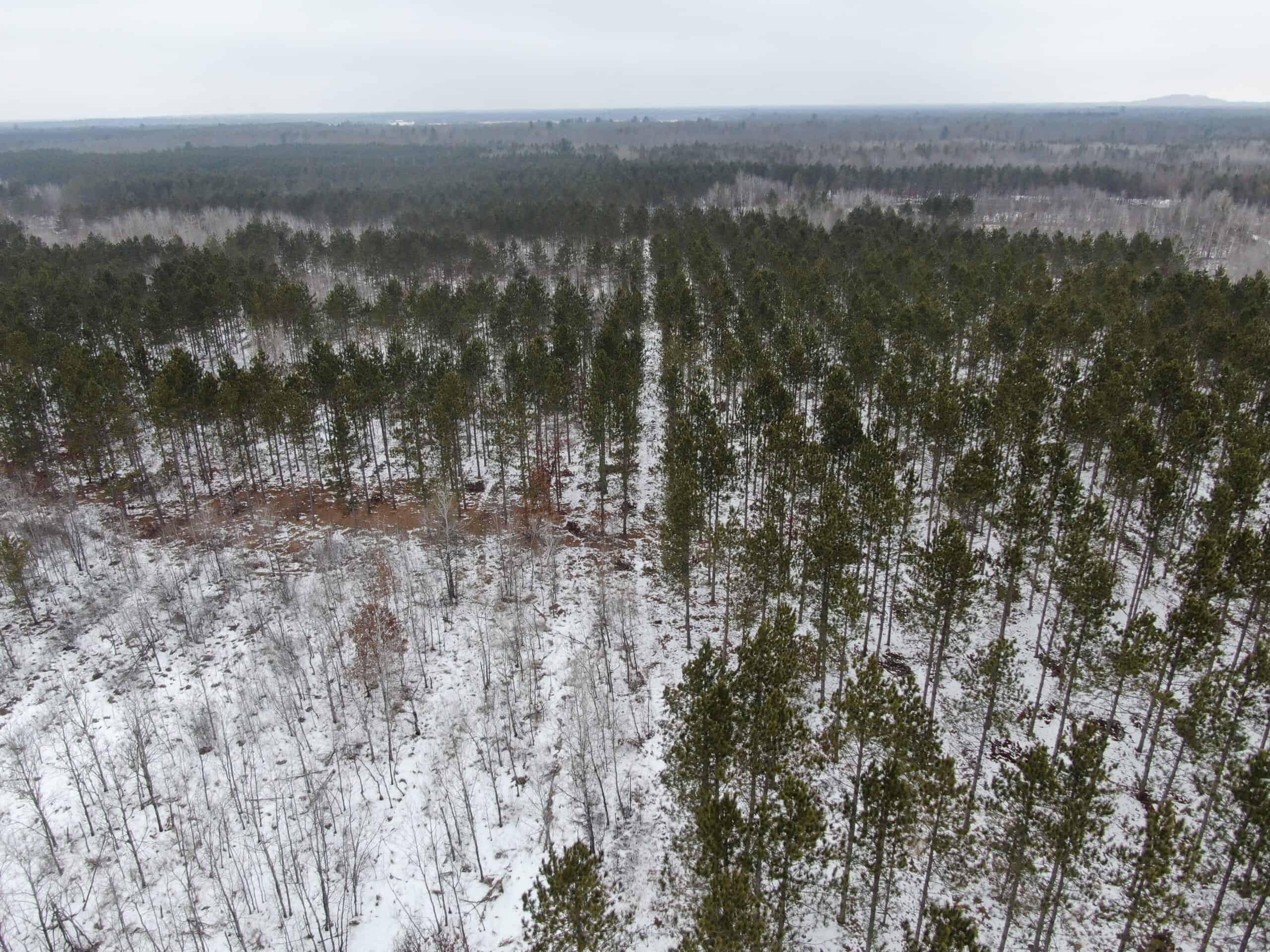 80± acre parcel in the Town of Necedah, Juneau County