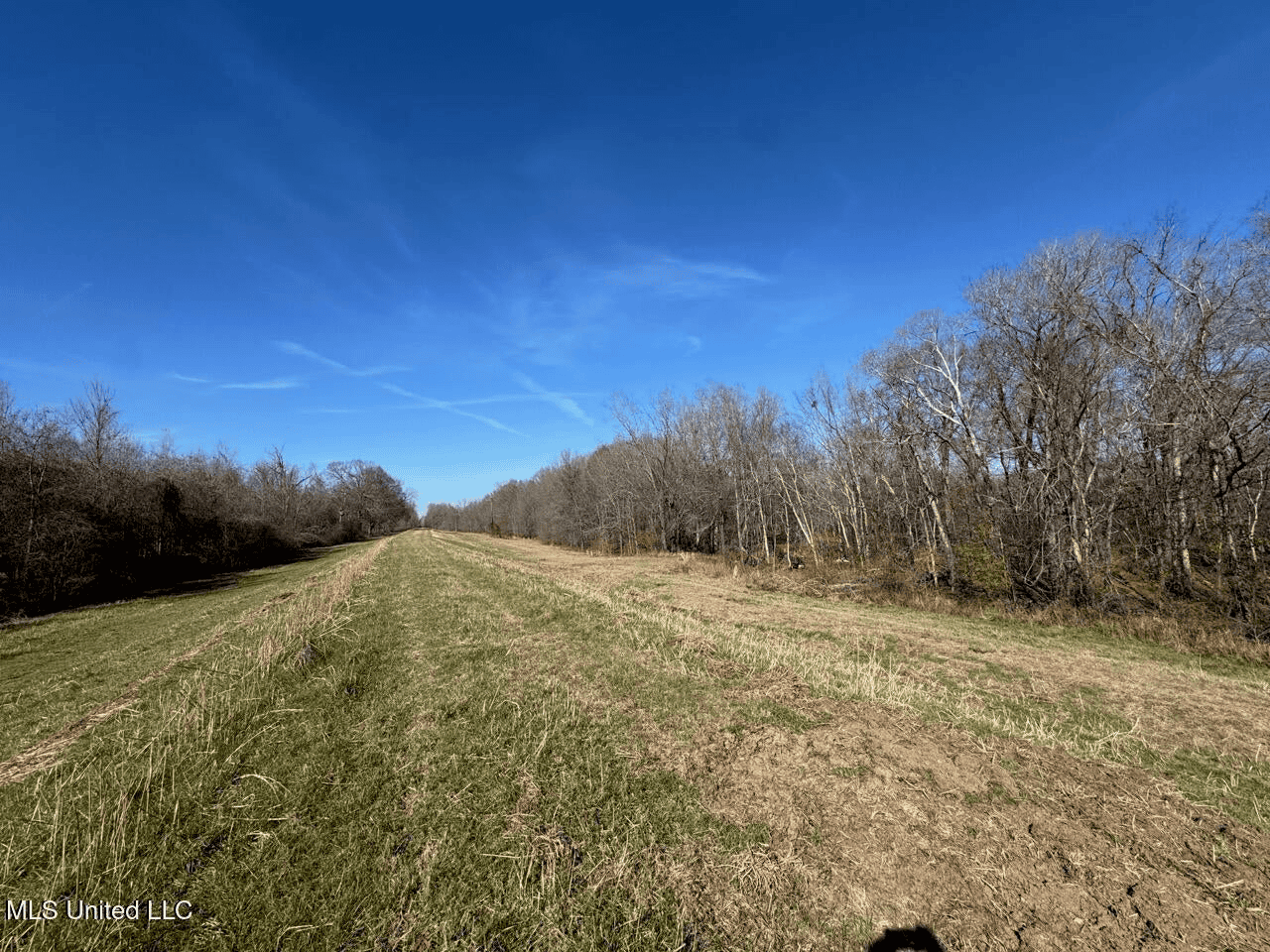 Tensas Riverfront Hunting Land Concordia Parish, LA