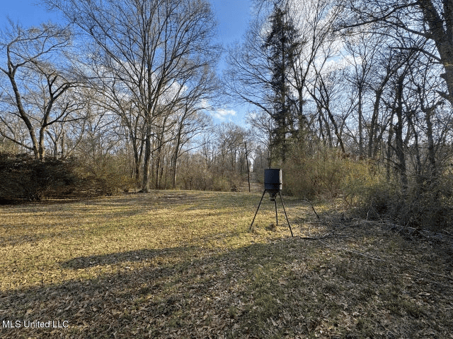 140 Acres with Farmhouse in Lorman, Mississippi
