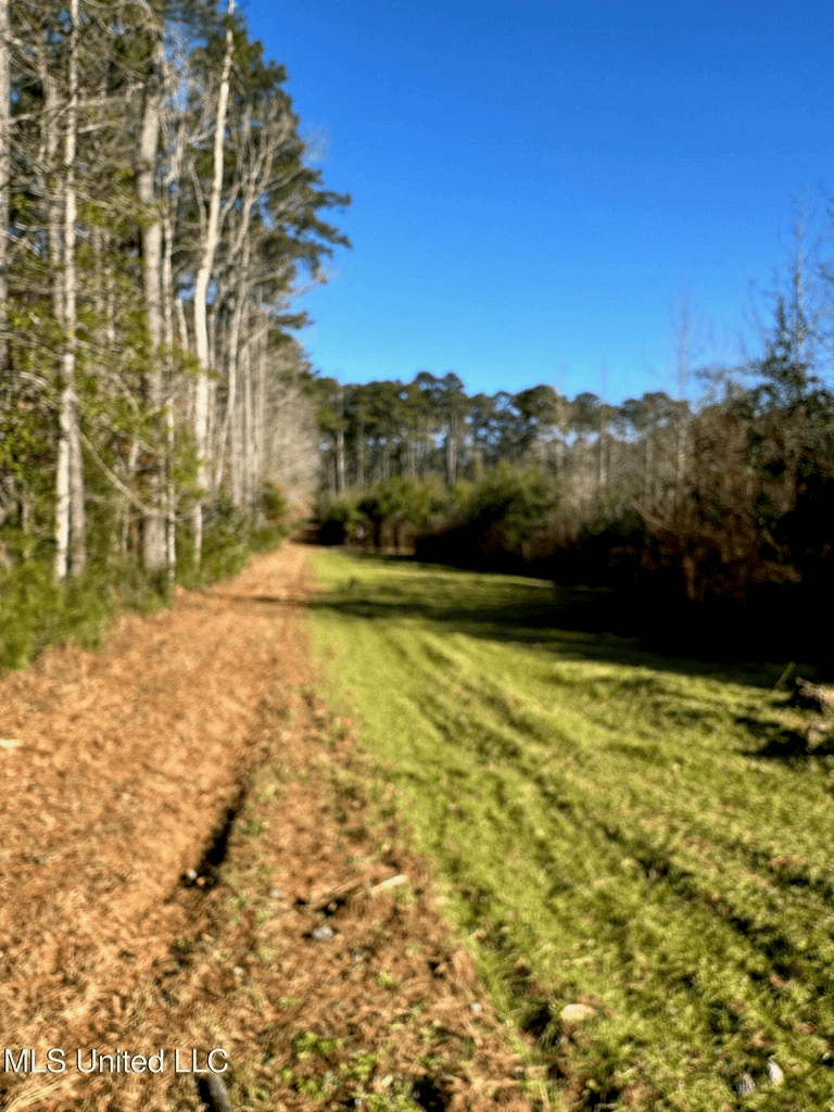 South MS Camp and Land Bordering the National Forest