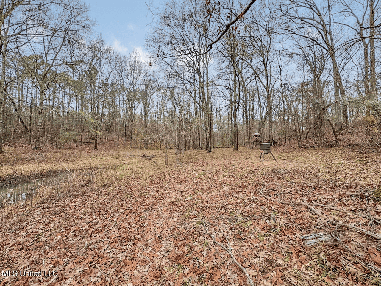 Luxury 5-Bed Home on 22 Acres in Kingston, Natchez, MS
