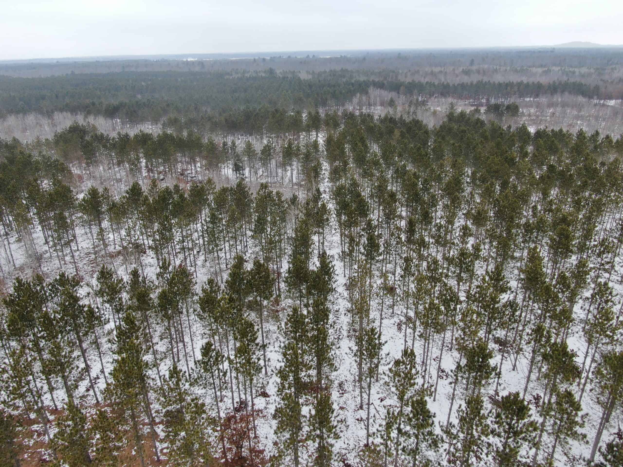 80± acre parcel in the Town of Necedah, Juneau County