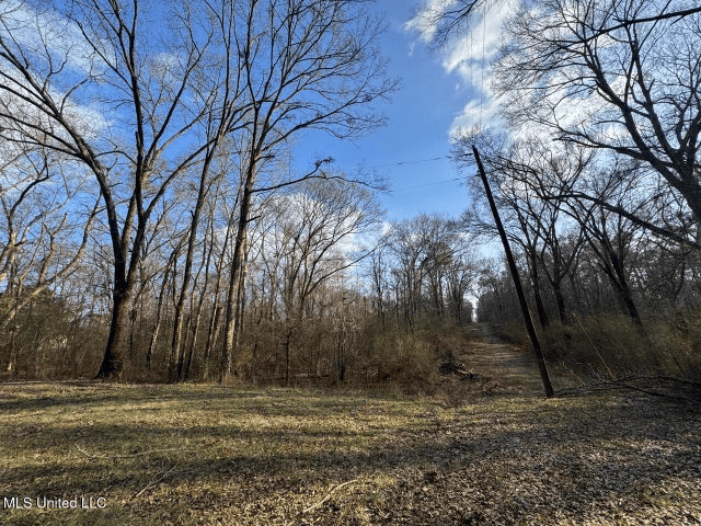 140 Acres with Farmhouse in Lorman, Mississippi