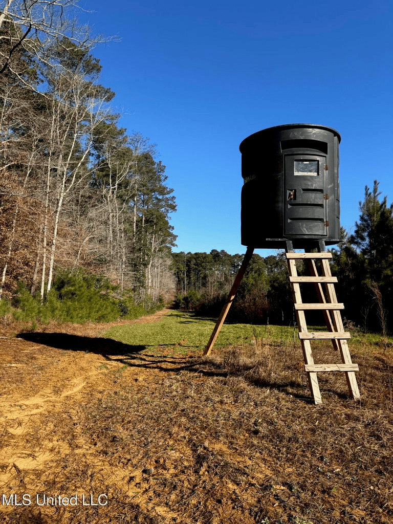 South MS Camp and Land Bordering the National Forest