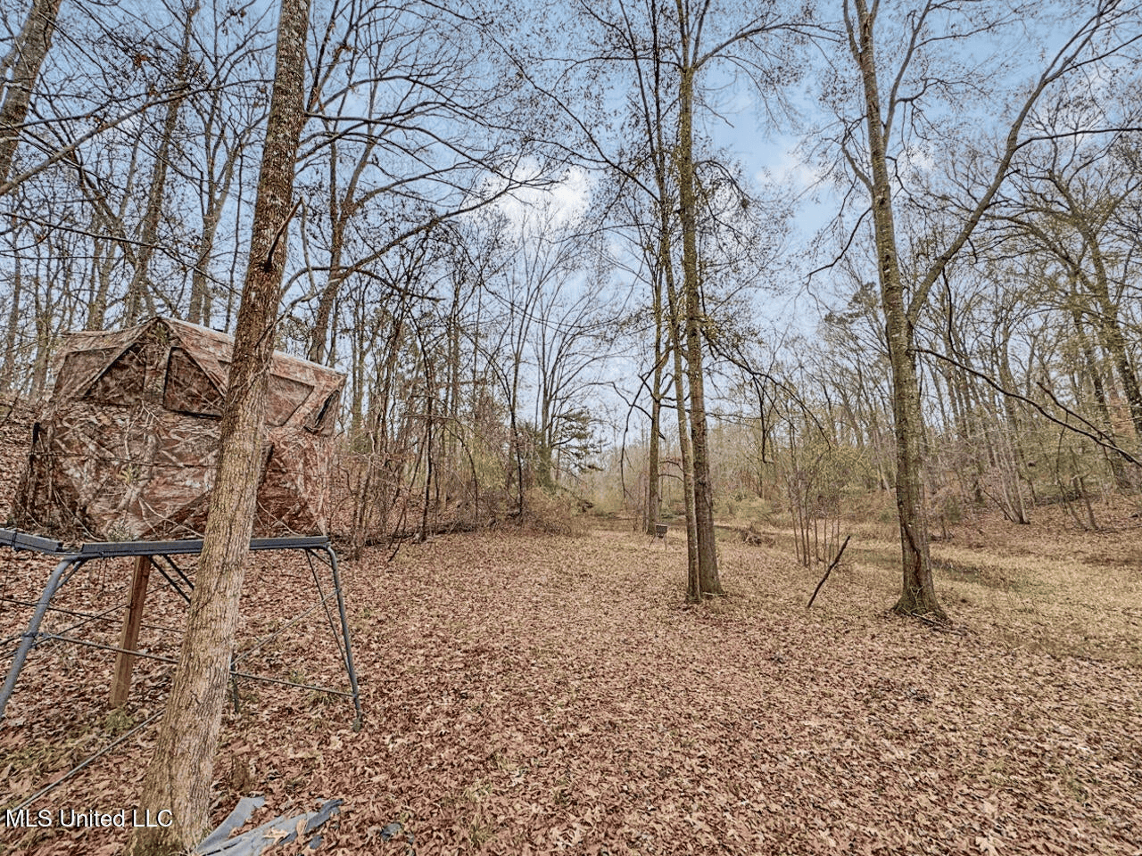 Luxury 5-Bed Home on 22 Acres in Kingston, Natchez, MS