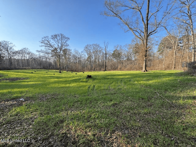 140 Acres with Farmhouse in Lorman, Mississippi